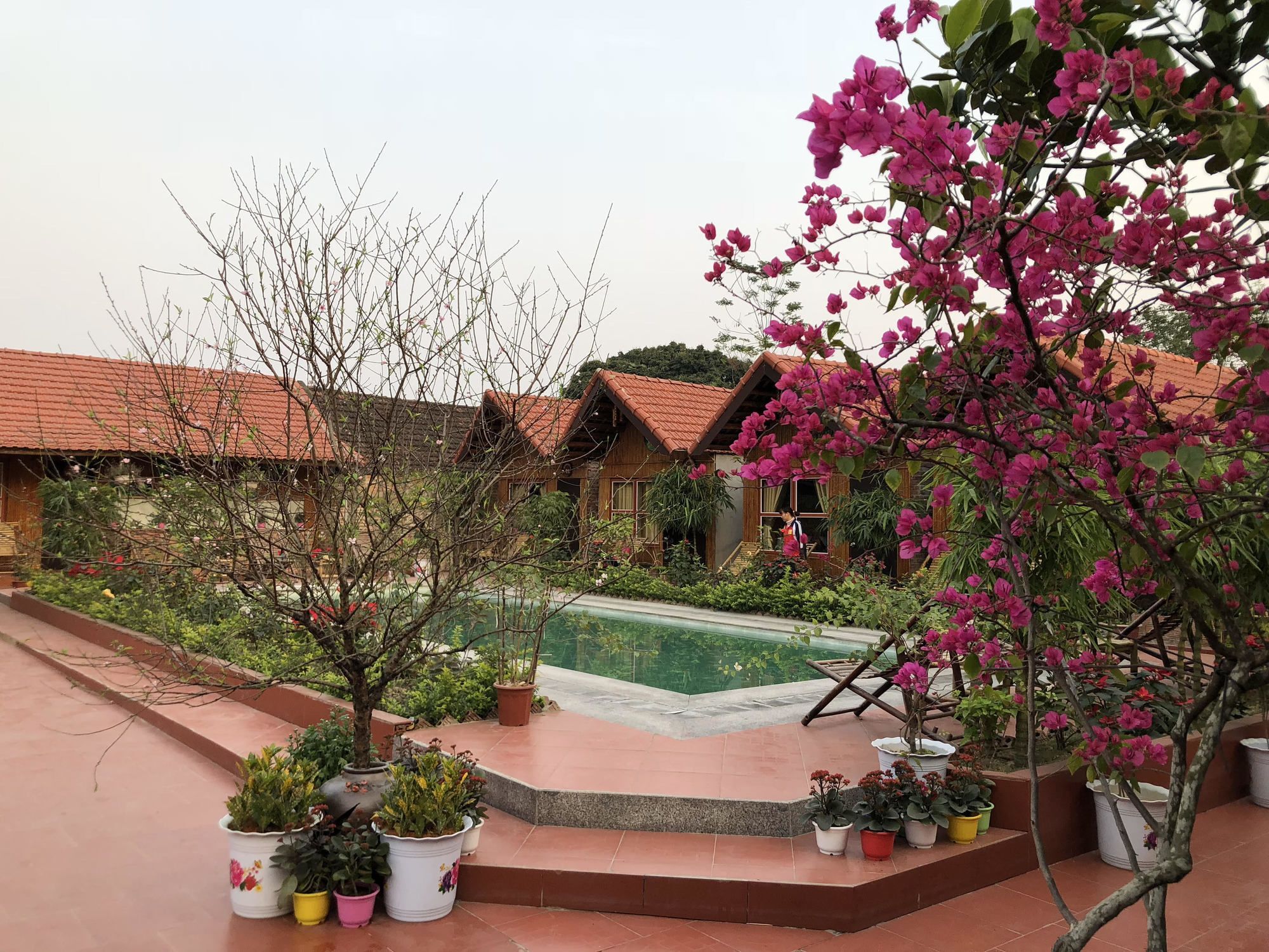 Tam Coc Garden Homestay Ninh Binh Exterior photo